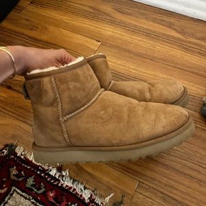 Womens ugg mini in chestnut